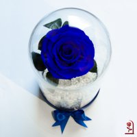 Естествена Вечна Роза в ГОЛЯМА Стъкленица / Подарък за Годишнина от Сватбата / Синя Вечна Роза, снимка 2 - Подаръци за жени - 35064305