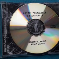 Peter Principle – 1990 - Conjunction(Experimental,Ambient), снимка 4 - CD дискове - 42986660