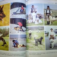 "Енциклопедия на кучето"-Германия, снимка 16 - Специализирана литература - 33458448