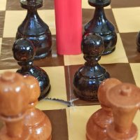 Шах за професионалисти , снимка 5 - Други спортове - 43467007