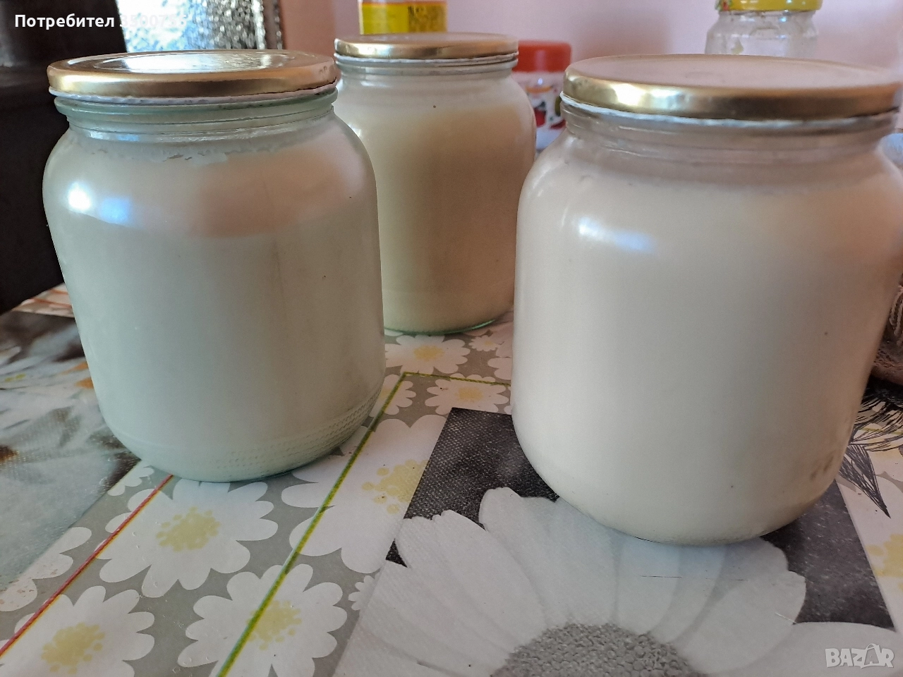 Прясна домашна свинска мас, снимка 1