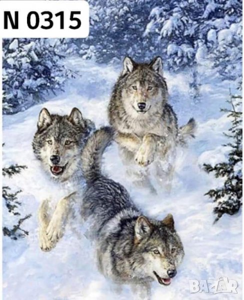 Диамантен Гоблен - Наличен комплект за изработка, снимка 1