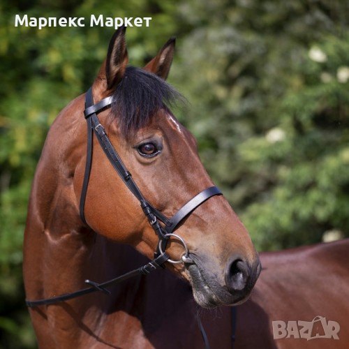 Юздечка от биволска кожа - "MUSEROLLE", снимка 1