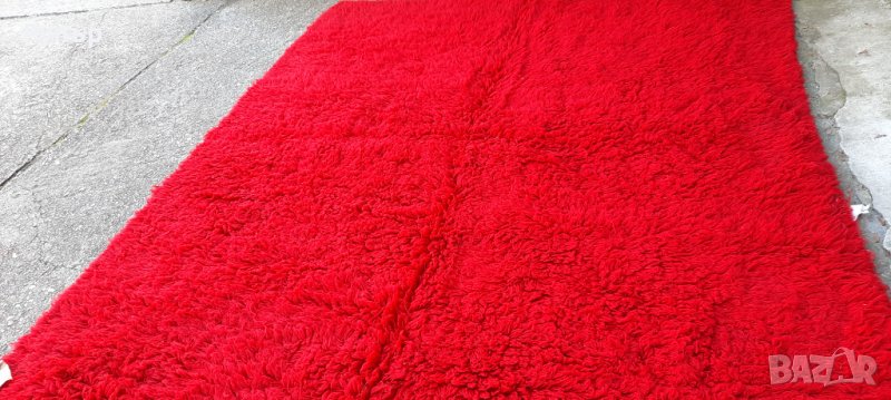 Червен Родопски китеник, снимка 1