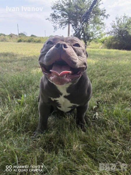 АБКС, снимка 1