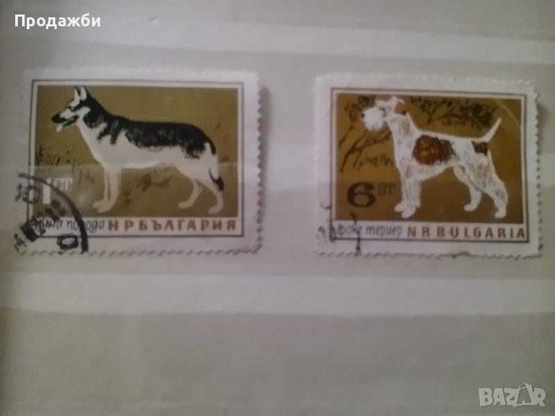 Стари  български марки с кучета, снимка 1