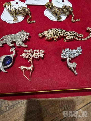 Брошки различни модели, снимка 12 - Други - 25131673