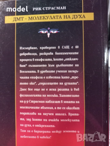ДМТ молекулата на духа - Рик Страсман, снимка 5 - Други - 51763517