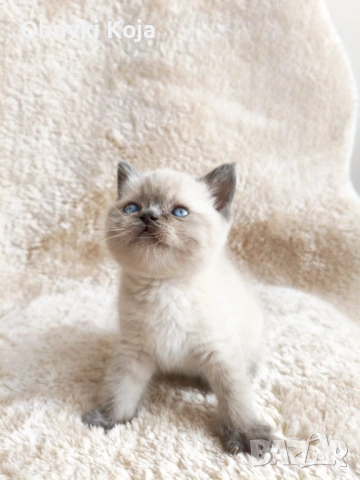 Уникален подарък за вашите любими 