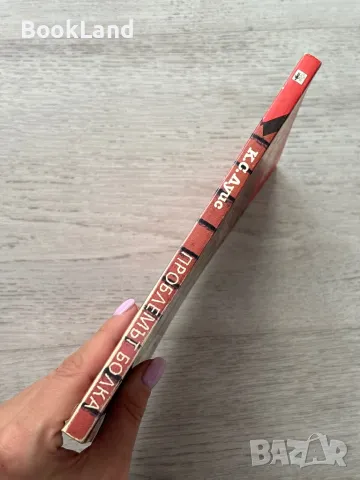 Проблемът Болка – К.С.Луис , снимка 2 - Художествена литература - 49710851