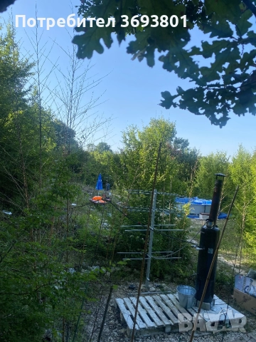 5 декара Парцел   С Трюфелна ферма, снимка 4 - Вили - 51957630