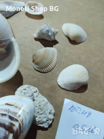 Океански дарове, снимка 4 - Други ценни предмети - 48931197