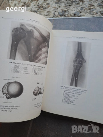 Атлас анатомии человека 1 и 2 том Синелников 28/1, снимка 4 - Специализирана литература - 51783286