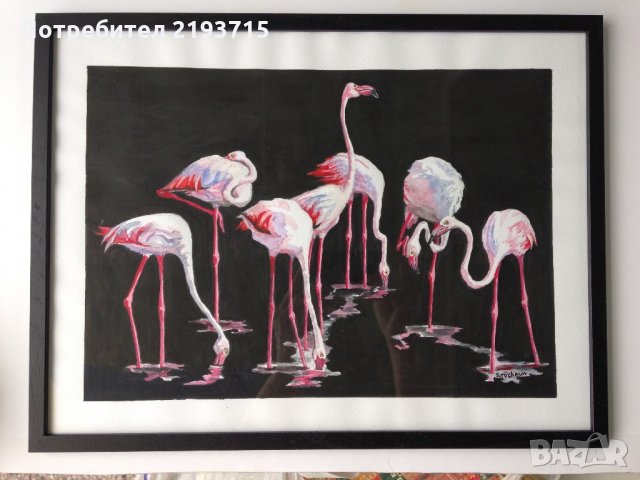Група от фламинго