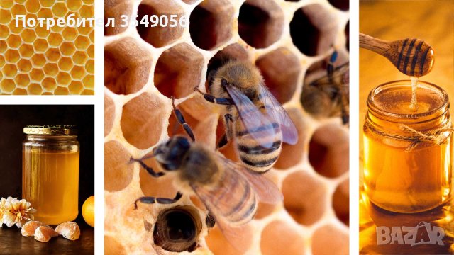 Чист пчелен восък и Чист Пчелен Клей/ Пчелен Прополис, снимка 7 - Пчелни продукти - 43570991