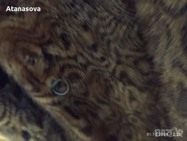 Продавам кожено макси палто с естествен къс косъм, снимка 7 - Палта, манта - 48163542