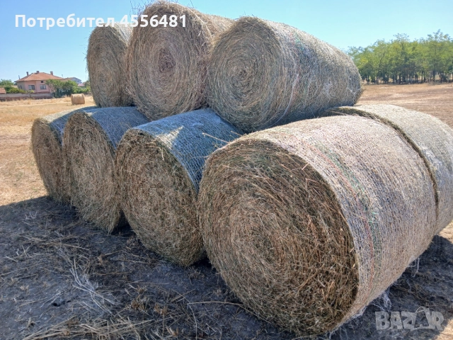 Ролонни бали люцерна, снимка 3 - За селскостопански - 51542538