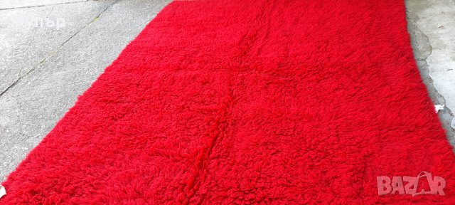 Червен Родопски китеник