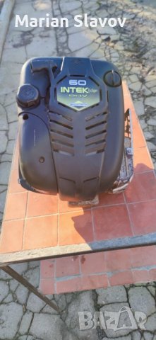 Продавам двигател Briggs & Stratton 121602-0187-E1 - вертикален вал, снимка 1