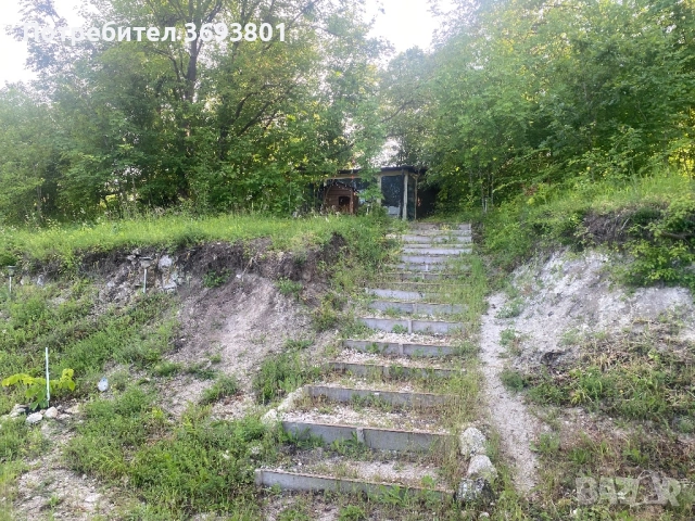 5 декара Парцел   С Трюфелна ферма, снимка 8 - Вили - 51957630