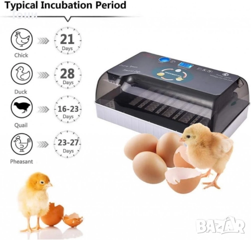 Автоматичен инкубатор за 12 яйца – Лесен за употреба YZ9-12, снимка 6 - За птици - 51548001