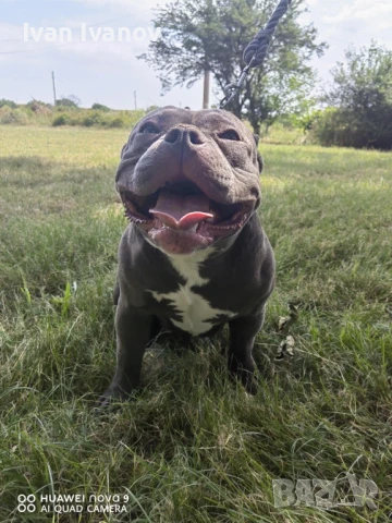 АБКС, снимка 1