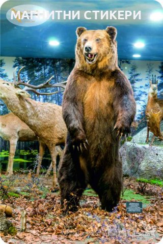 Магнитни стикери по индивидуални поръчки минимална бройка 1000 , снимка 5 - Празнични оферти - 39718681