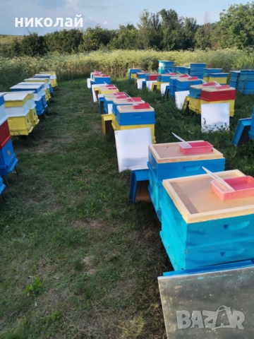 Продавам чист домашен пчелен мед и пчелен прашец , снимка 5 - Пчелни продукти - 51852441