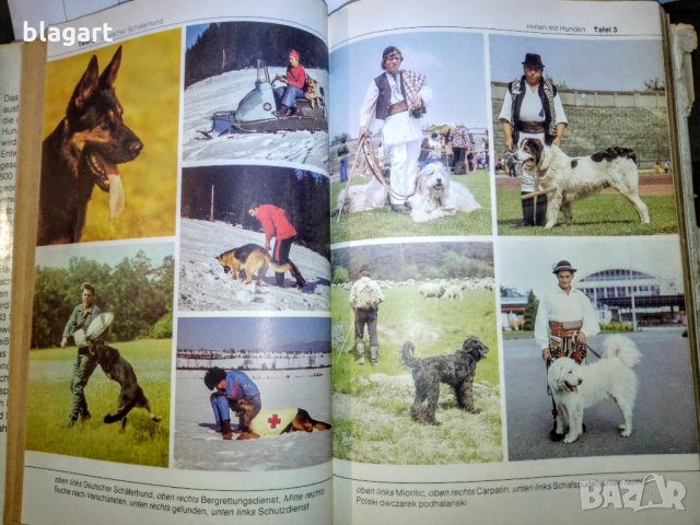 "Енциклопедия за породи кучета"-Германия, снимка 16 - Специализирана литература - 33458448