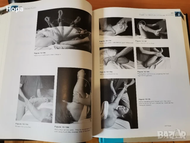 Учебници на английски език за масажисти, снимка 6 - Чуждоезиково обучение, речници - 51348706