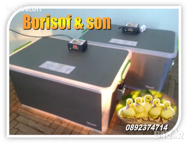 Инкубатори - Коледна промоция