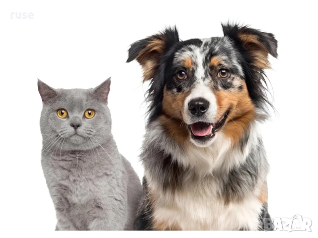 НОВИ! Машинка за подстригване на домашни любимци, снимка 4 - Други стоки за животни - 51299755