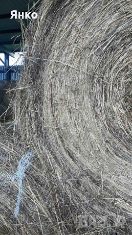 Бали слама и сено рулонни, снимка 9 - За селскостопански - 52337096