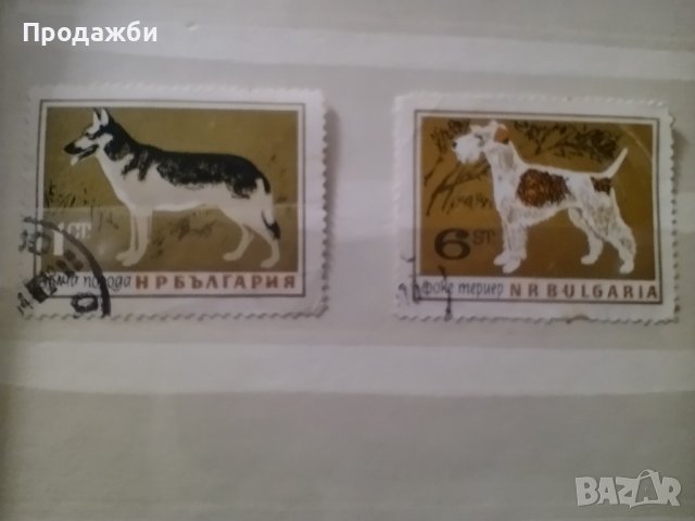 Стари  български марки с кучета, снимка 1 - Филателия - 40707969
