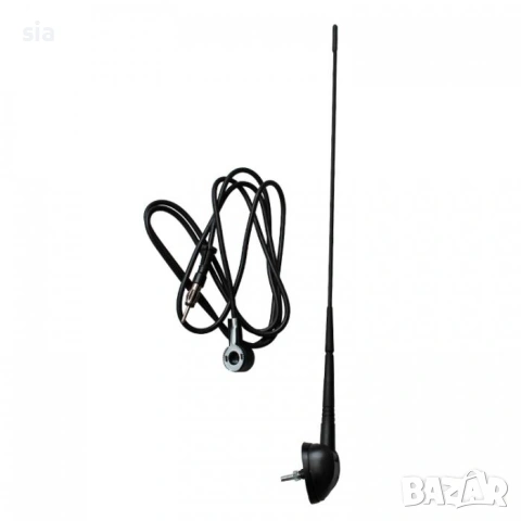 Авто антена, Антена за таван AM/FM