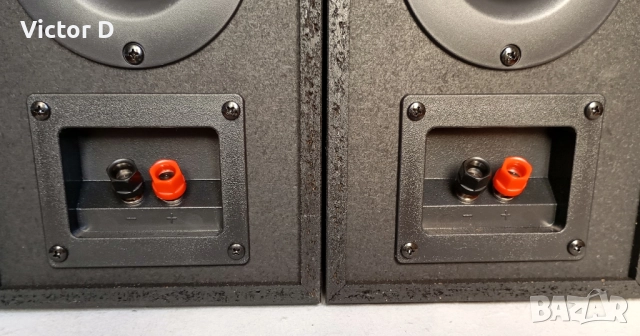 Panasonic SB-PMX70 - Тонколони Bookshelf, снимка 10 - Тонколони - 52928743