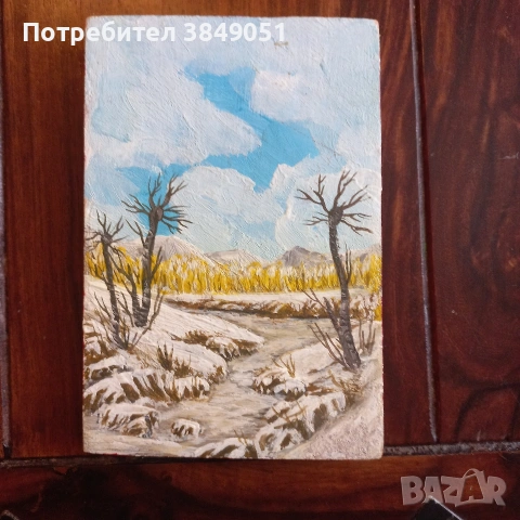 Картини/миниатюри, снимка 11 - Картини - 53560621