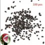 100 бр семена от месоядно растение лови и хваща насекоми за декорация украса на градината двора дома, снимка 13