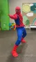 Аниматор за детско парти и рожден ден / тема - Спайдърмен / Spider-Man, снимка 1
