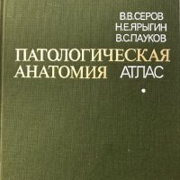 Патологическая анатомия. Атлас - В. В. Серов, Н. Е. Ярыгин, В. С. Пауков, снимка 1 - Специализирана литература - 28598429