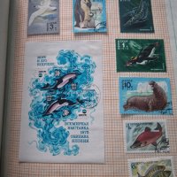 Каталог Съветски марки Флора и Фауна , снимка 9 - Филателия - 44048347
