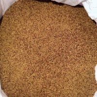 ПРОДАДЕНО продавам семена люцерна ПРИСТА 3 почистено готово за сеитба 12 лв кг , снимка 3 - За селскостопански - 43640689