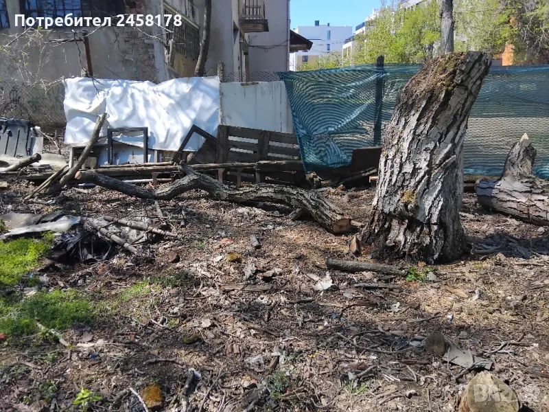 Продавам орех, снимка 1