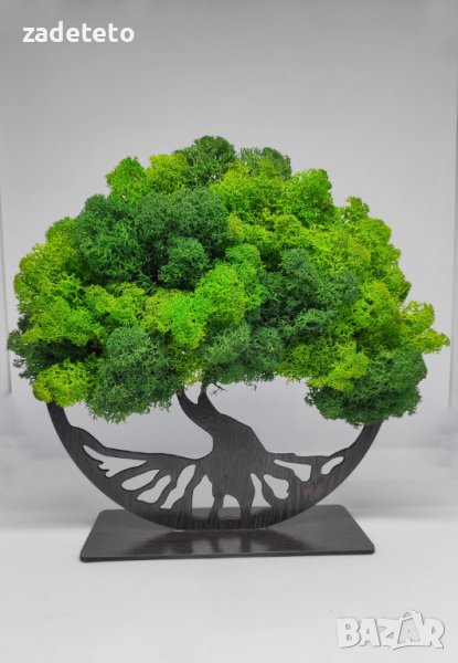 Дървото на живота със скандинавски мъх и стойка, снимка 1