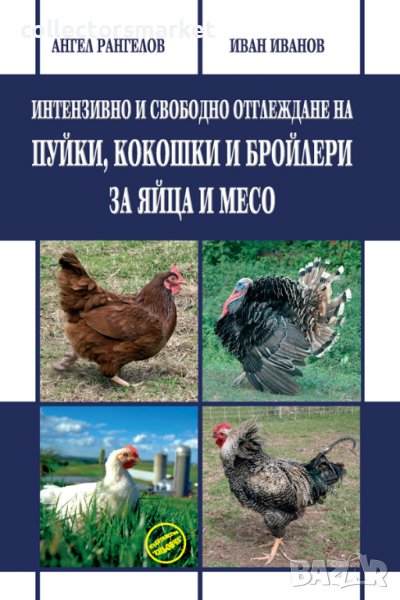 Интензивно и свободно отглеждане на пуйки, кокошки и бройлери за яйца и месо, снимка 1