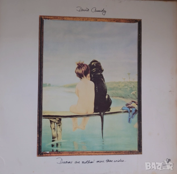 Грамофонни плочи Х 5 лева, снимка 1