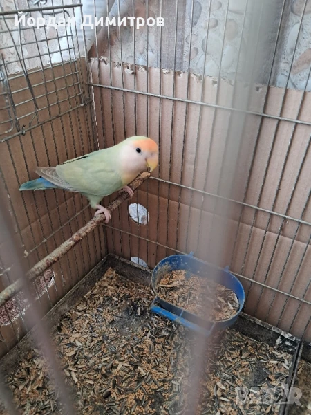 продавам неразделка, снимка 1