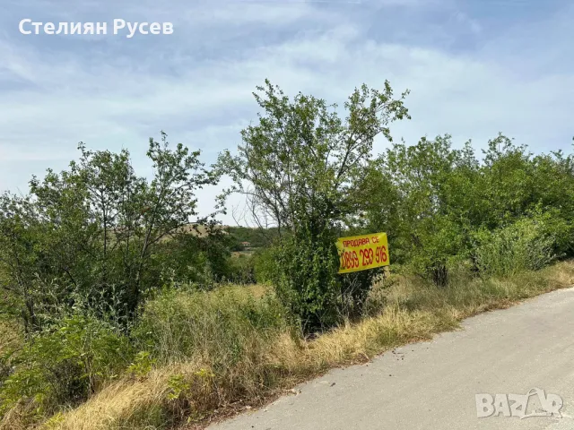 с. Калипетрово имот 1191кв.м / градина / парцел / терен , област Силистра -цена 11 000лв на 100м от , снимка 10 - Парцели - 49801270