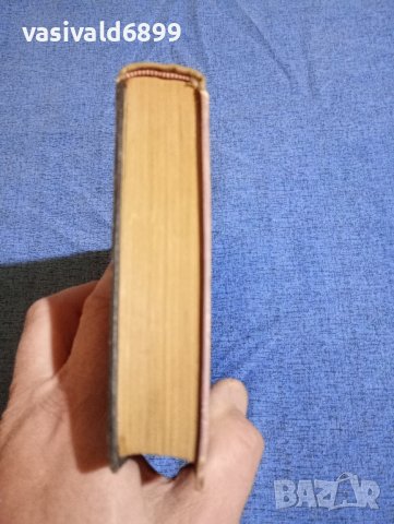 Петру Димитриу - Семейна хроника , снимка 6 - Художествена литература - 43134470