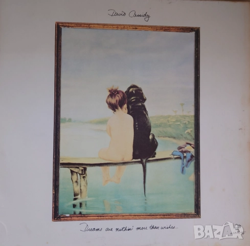 Грамофонни плочи Х 5 лева, снимка 3 - Грамофонни плочи - 31393292